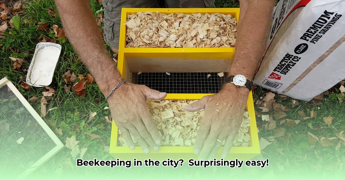 tractor-supply-beehive